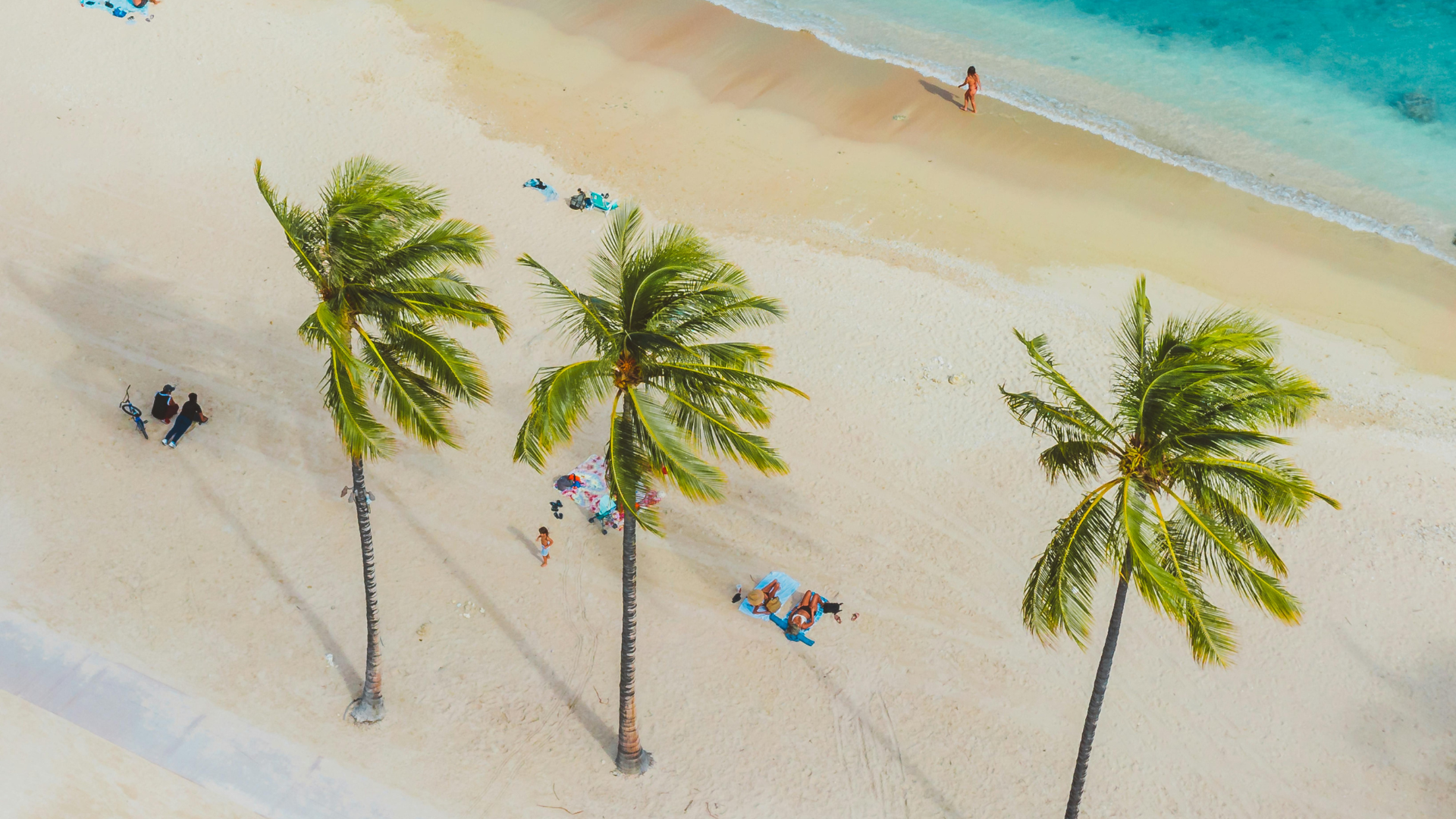 Zanzibar : Les incontournables pour un séjour paradisiaque